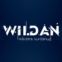 Wildan Transition Numérique logo - Similar company to Maison Du Processwork