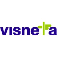 Visneta logo - Similar company to Visneto Web Design