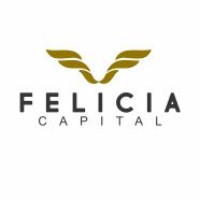 FELICIA CAPITAL logo - Similar company to Planning Tax