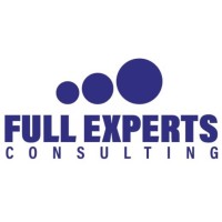 FULL EXPERTS CONSULTING logo - Similar company to Full Experts Consulting