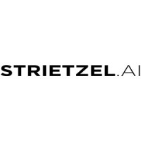 Strietzel.AI logo - Similar company to Strietzel.Co