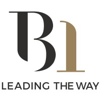 B1 Consultant Ltd logo - Similar company to B1 Ag