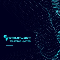 PRIMEWARE TANZANIA LIMITED logo - Similar company to Ovifocus Limited