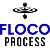 Floco Process logo - Similar company to Ctmi - Church Team Ministries International