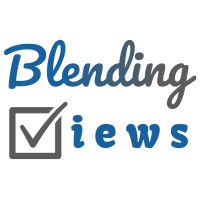 Blending Views logo - Similar company to Mforce Research