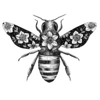Beekind logo - Similar company to #Somosregeneración // Sustainable Brands Mvd