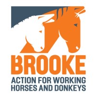 Brooke, Action For Working Horses and Donkeys logo - Similar company to Pawserve