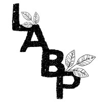 Leigh Anne Brader Photography logo - Similar company to Chesapeake Valley Seed