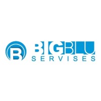 BigBlu Services logo - Similar company to Pointer It Education