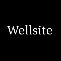 Wellsite logo - Similar company to Out Of The Box