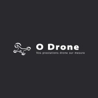 O Drone logo - Similar company to Multi Solution Seguros