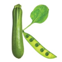 Kristen Yarker Dietitians Agency logo - Similar company to Master Nutrition Lab Llc