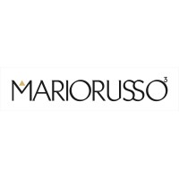 Mario Russo Store logo - Similar company to Mario Russo