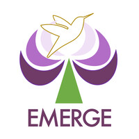 Emerge Coaching and Consulting International Ltd logo - Similar company to Regconet