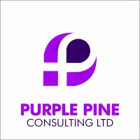 Purple Pine Consulting Limited logo - Similar company to Osd Cloud Erp