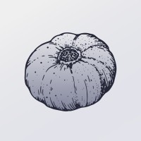 Mâche logo - Similar company to Agence Cadot 🎁