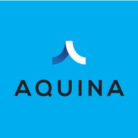 Aquina logo - Similar company to Innovative Security Systems