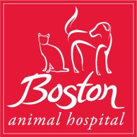Boston Animal Hospital logo - Similar company to Via Information Systems, An Antech Company