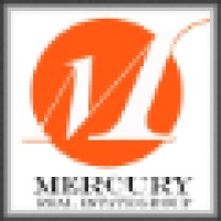 Mercury real estate group