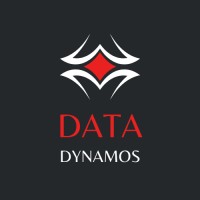 DataDynamos logo - Similar company to Shotsblastingmachine.Com