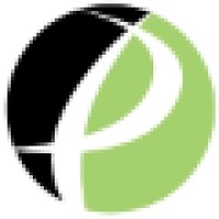 Practical Software Solutions logo - Similar company to Qlu Security
