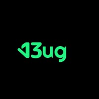 D Bug logo - Similar company to Aurora Infotech