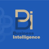 Consultora-BI logo - Similar company to Consultora Henko