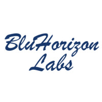 BluHorizon Labs logo - Similar company to Agami Zero, Inc.