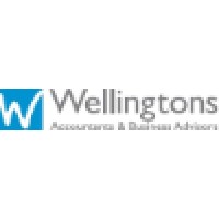 Wellingtons Accountants & Business Advisors logo - Similar company to Solpoint Accounts