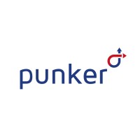 punker GmbH logo - Similar company to Terrabid