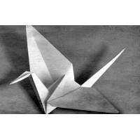 Crane Brokerage logo - Similar company to Poydras Home