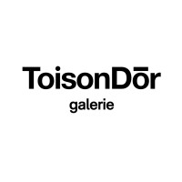 Galerie Toison d'Or logo - Similar company to Carré Blanc Belux
