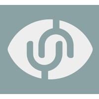 AliviEYE logo - Similar company to Systemvote