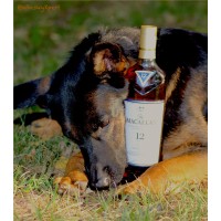The Whisky Xperience logo - Similar company to Malkin Law