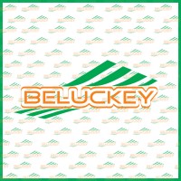 Beluckey&Wengfu Technology Co. Ltd. logo - Similar company to P2O5.Com
