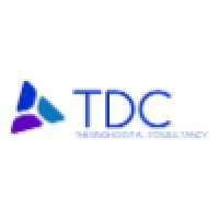 Thesingh Digital Consultancy logo - Similar company to Ines Services Center