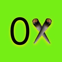0xHash logo - Similar company to Rise Nation