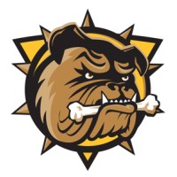 Brantford Bulldogs Hockey Club logo - Similar company to Teronext Consulting