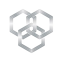 Leo Consulting Inc logo - Similar company to Leo Consultancy