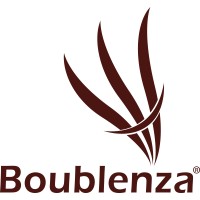 BOUBLENZA SARL logo - Similar company to Promedal