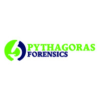 Pythagoras Forensic logo - Similar company to Arcus Group Llc