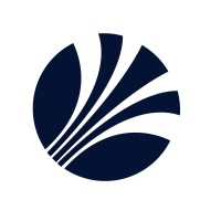 Blue Capital Partners logo - Similar company to Aimee Gindin Consulting