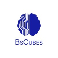 BsCubes logo - Similar company to Segakiv Info Tech