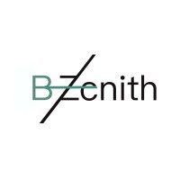 B-Zenith logo - Similar company to Avenir Solutions