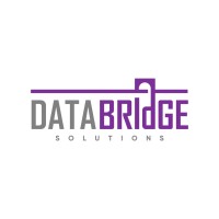 DataBridge Solutions logo - Similar company to Minealytics