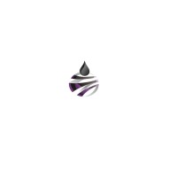 Nasim Saderat Rad logo - Similar company to Integral Group