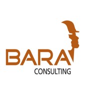 BARA CONSULTING LTD logo - Similar company to Met63 (Pty) Ltd