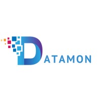 Datamon IT Services Private Limited logo - Similar company to Brenolabs