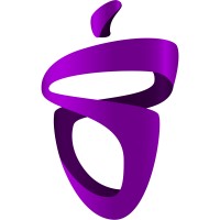 BalootStudio logo - Similar company to Behkaav