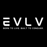 EVLV logo - Similar company to Bellingham Advanced Medical Imaging